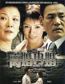 离婚再婚海报图片