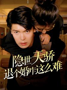 隐世天骄退个婚咋这么难海报图片