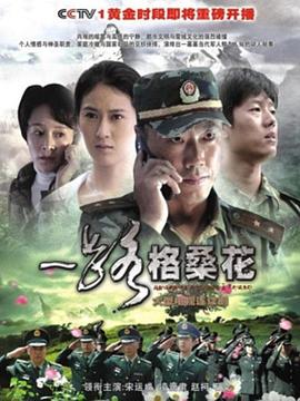 一路格桑花海报图片