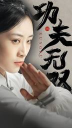 功夫无双海报图片