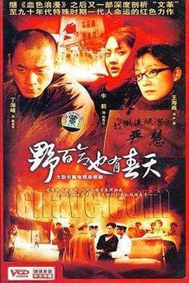 野百合也有春天海报图片