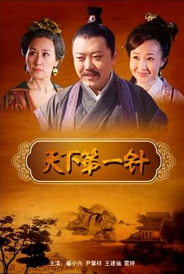 天下第一针海报图片