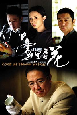雾里看花海报图片