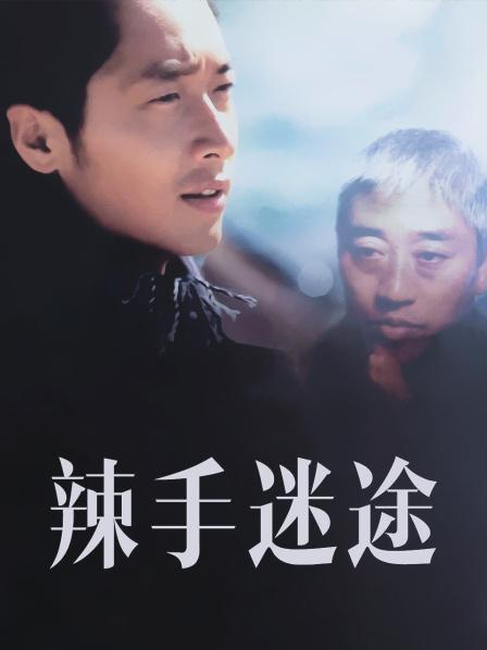 辣手迷途2001海报图片