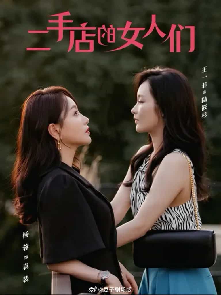二手店的女人们海报图片