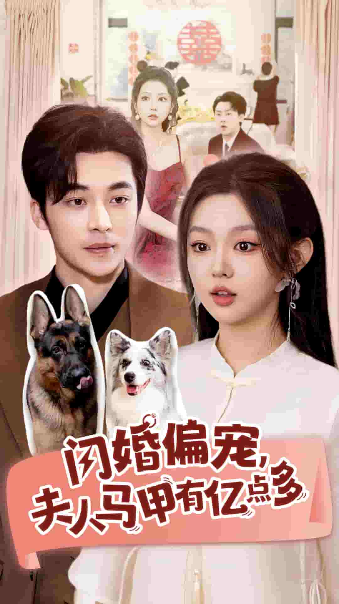 闪婚偏宠夫人马甲有亿点多海报图片