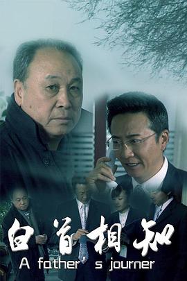 白首相知海报图片