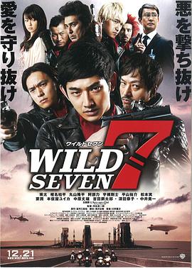 野性之七人海报图片