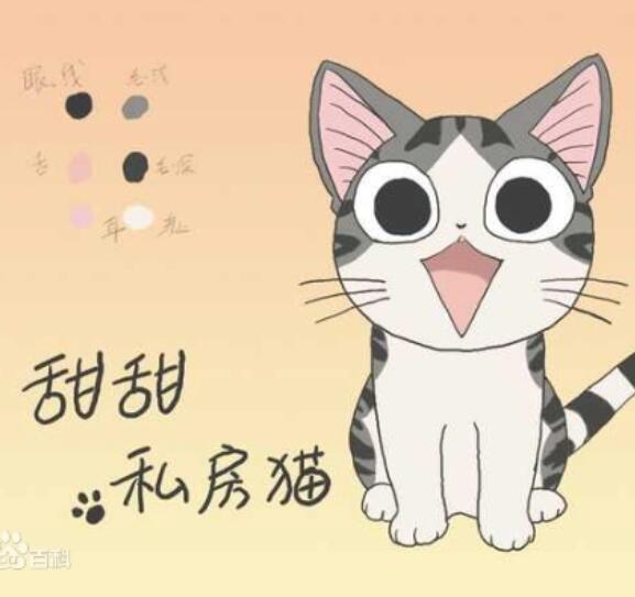 甜甜私房猫