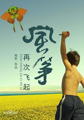 风筝再次飞起海报图片