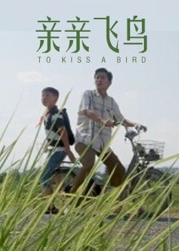 亲亲飞鸟海报图片