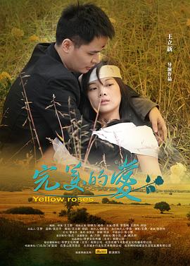 完美的爱海报图片