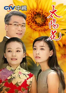 太阳花1998海报图片